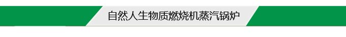 自然人生物質(zhì)燃燒機(jī)蒸汽鍋爐 自然人生物質(zhì)燃燒機(jī)蒸汽鍋爐