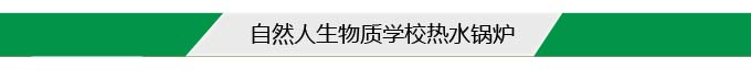 自然人生物質(zhì)學(xué)校熱水鍋爐 自然人生物質(zhì)學(xué)校熱水鍋爐